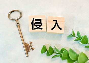 侵入