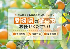 コラムのイメージ画像