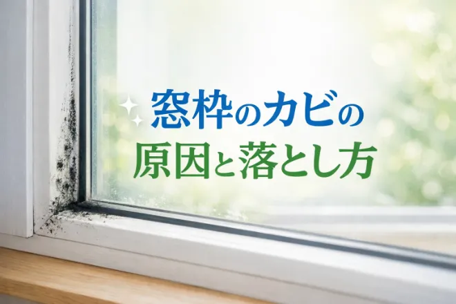 窓枠のカビの原因と落とし方！再発を防ぐ対策までわかりやすく解説