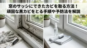 窓のサッシにできたカビを取る方法！頑固な黒カビをとる手順や予防法を解説