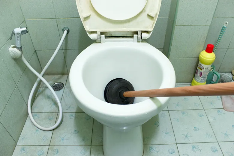 すっぽん(ラバーカップ)とトイレ