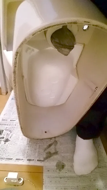 便器に詰まってしまった雑巾