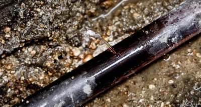 水道管の水漏れは早急に対処する必要がある！その理由とは