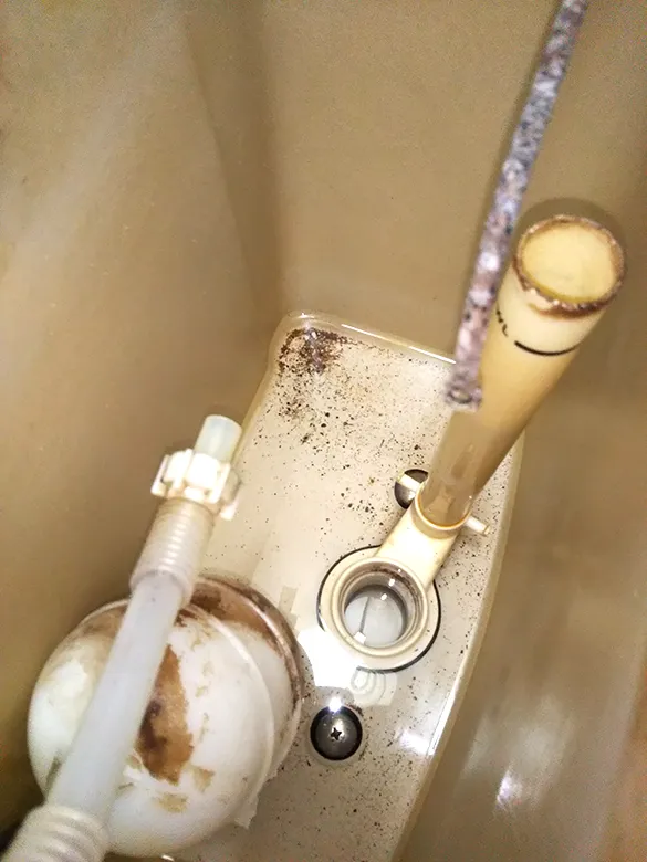 タンクからゴムフロートを撤去