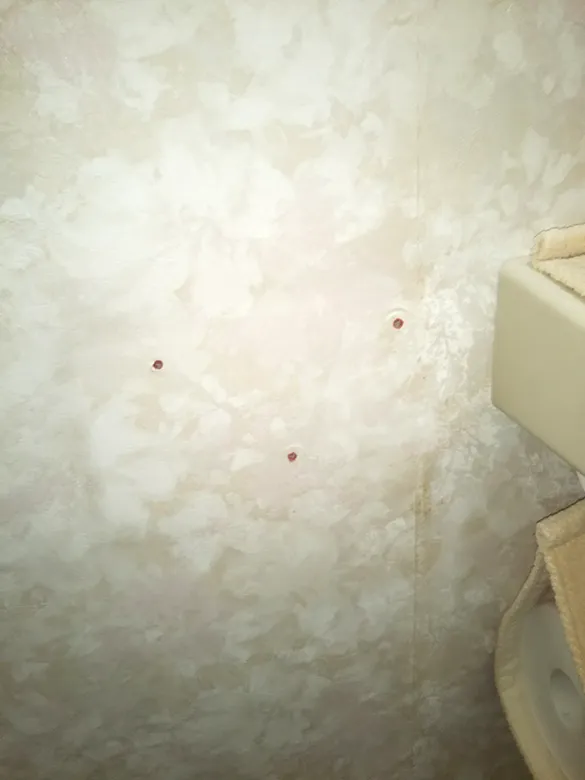 リモコンを取り外した壁