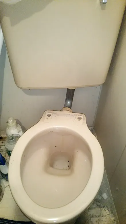 便座が割れてしまったので交換