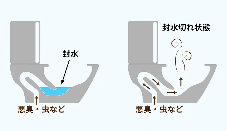 トイレの封水切れ