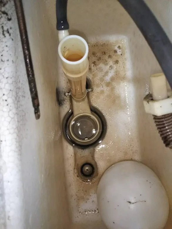 ゴムフロートの取り外されたトイレタンク