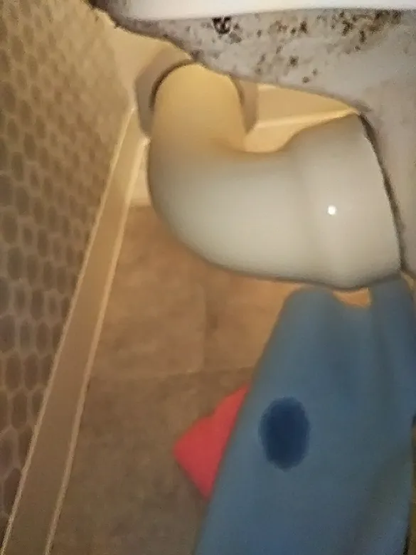 トイレからの水漏れを修理