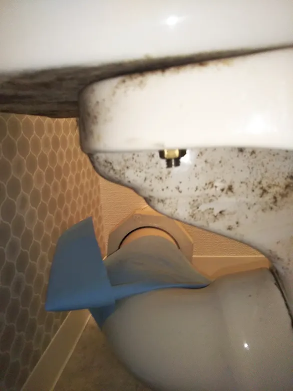 水漏れがなおったか確認