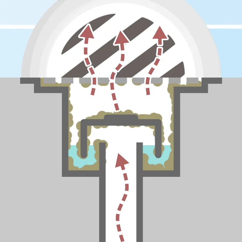 排水トラップが汚れて臭う様子