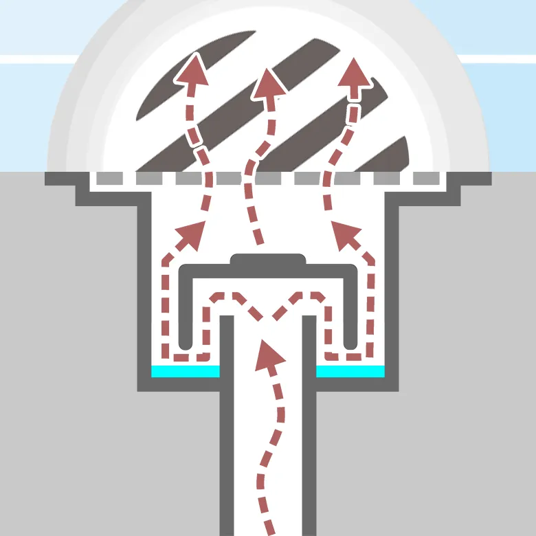 排水トラップに水が無くて臭気が上がってくる様子