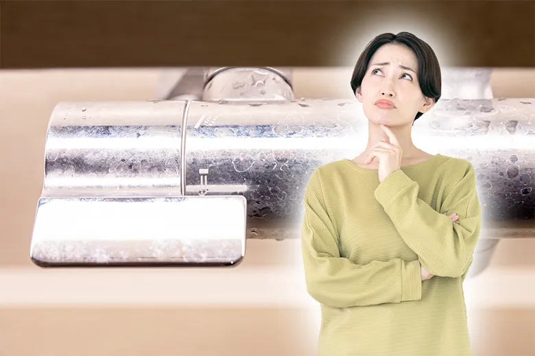 蛇口の汚れの種類にはどんなものがある？
