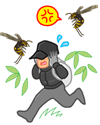 アシナガバチに攻撃されるイメージ