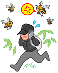ミツバチに攻撃されるイメージ