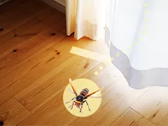 窓から入ってきた蜂