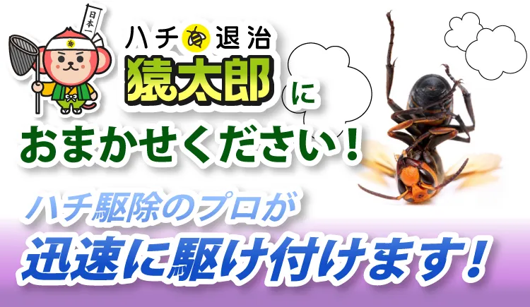 蜂の駆除なら「猿太郎(さるたろう)」におまかせください！蜂駆除のプロが迅速に駆けつけて解決します！