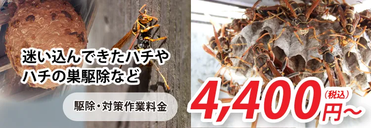 迷い込んできた蜂やハチの巣の駆除など、4,400円(税込)～承ります