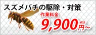 スズメバチ