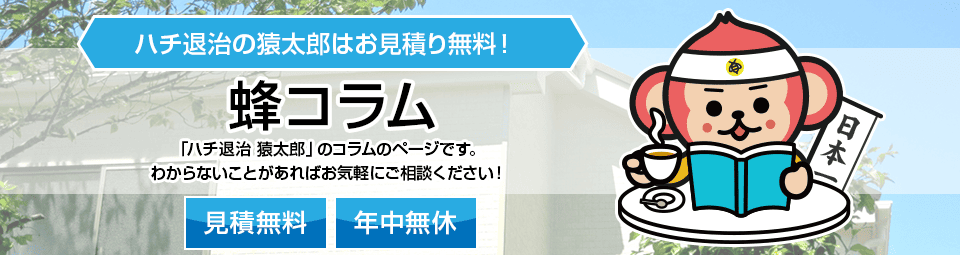 蜂のコラム