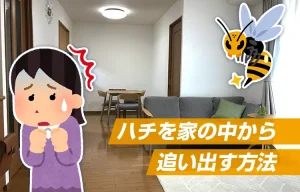 ハチを家の中から追い出す方法