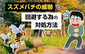 スズメバチの威嚇と回避する為の対処方法
