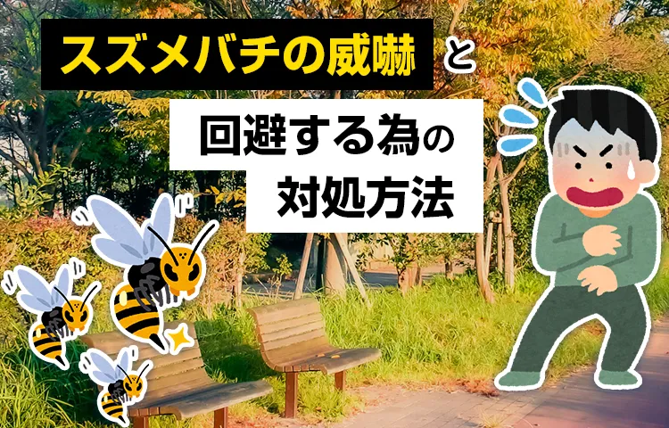 スズメバチの威嚇と回避する為の対処方法