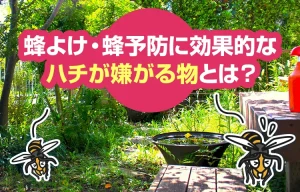 蜂よけ・蜂予防に効果的な蜂が嫌い・苦手なもの