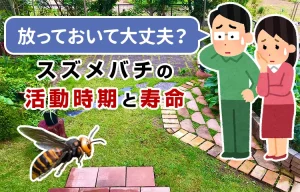 放っておいて大丈夫？スズメバチの活動時期と寿命について