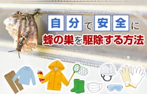 自分で安全に蜂の巣を駆除する方法