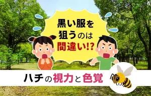 「黒い服を狙う」は間違い⁉ハチの視力と色覚