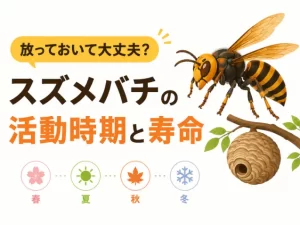 スズメバチの活動時期と駆除依頼が集中する月を猿太郎の実績から解説