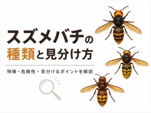 スズメバチの種類は6つ｜写真と巣の形で見分けて危険度がわかる