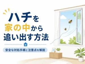 家の中に蜂が入ったときの追い出し方｜夜と見失ったときも解説