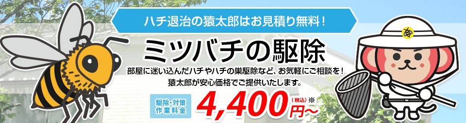 ミツバチ