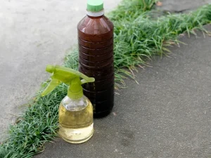 木酢液