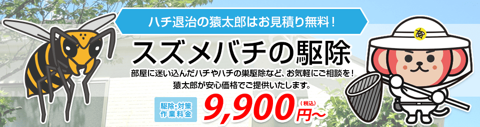 スズメバチ