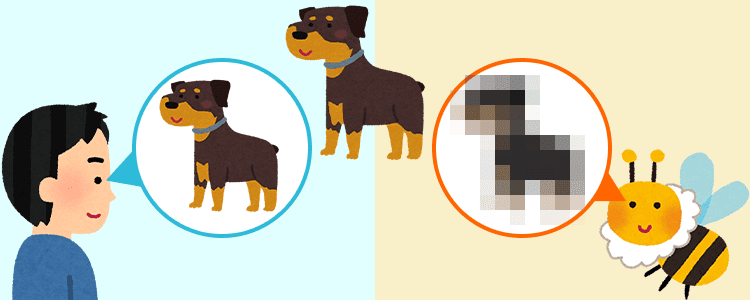 人間とハチの画素数の差のイメージ