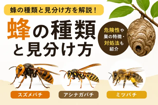 【写真で解説】蜂の種類と見分け方！危険な蜂や巣の特徴・対処法も紹介