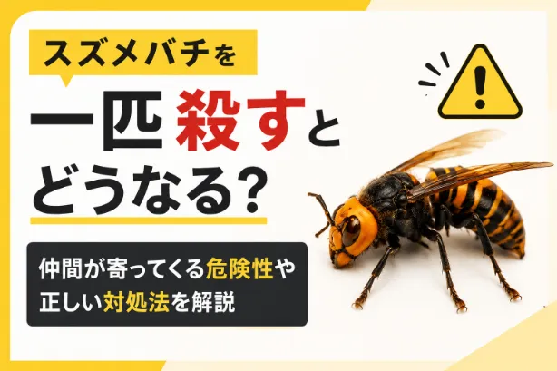 スズメバチを一匹殺すとどうなる？仲間が寄ってくる危険性や正しい対処法を解説