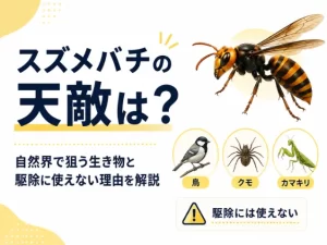 スズメバチの天敵13種｜食べる生き物一覧と家の蜂が減らない理由