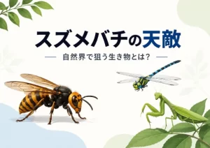 スズメバチの天敵は何？自然界で狙う生き物や駆除に使えない理由を解説