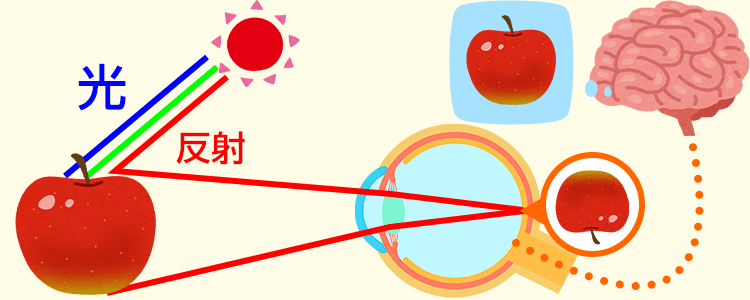 見え方の解説図