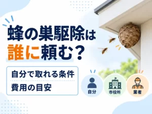 蜂の巣駆除は誰に頼む？自分で取れる条件と費用の目安