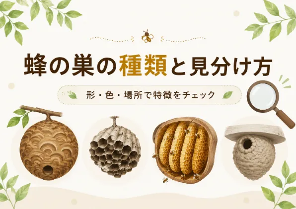 蜂の巣の種類と見分け方！形・色・場所ごとの特徴や見つけたときの対処法を解説