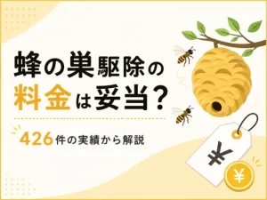 その蜂の巣駆除の料金は妥当？実際に行った426件の実績から解説