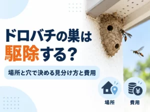ドロバチの巣は駆除する？場所と穴で決める見分け方と費用