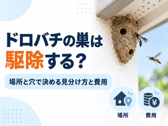 ドロバチの巣は駆除する？場所と穴で決める見分け方と費用