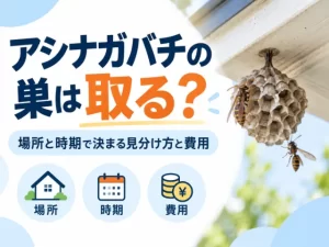 アシナガバチの巣は取る？場所と時期で決まる見分け方と費用